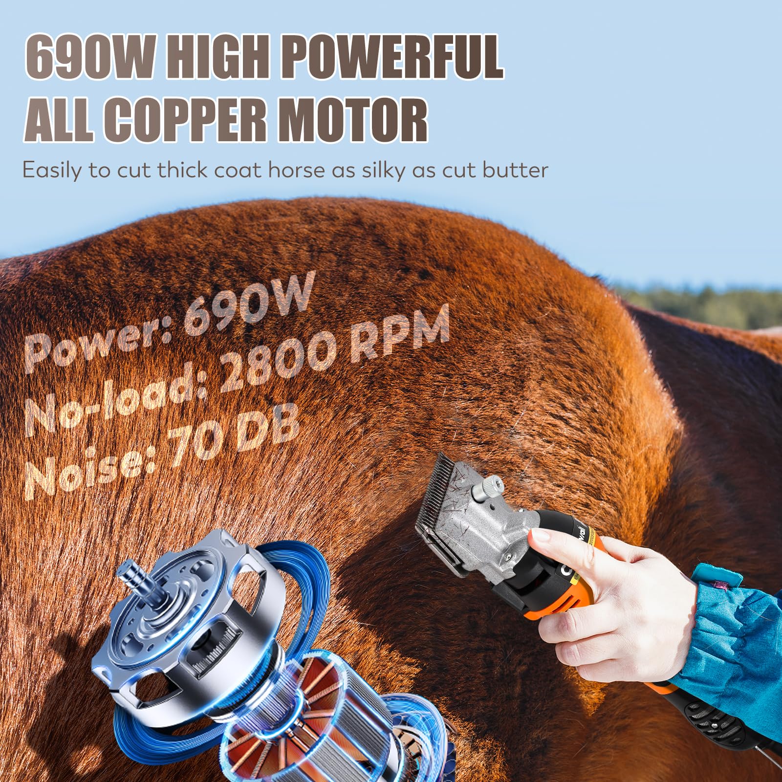 CGOLDENWALL Esquiladora para Caballos Profesional 690W 2800 RPM | 6 Velocidades + Cable 5m | Potencia Industrial para Caballos, Bovinos, Cabras, Ponis & Animales de Pelo Grueso