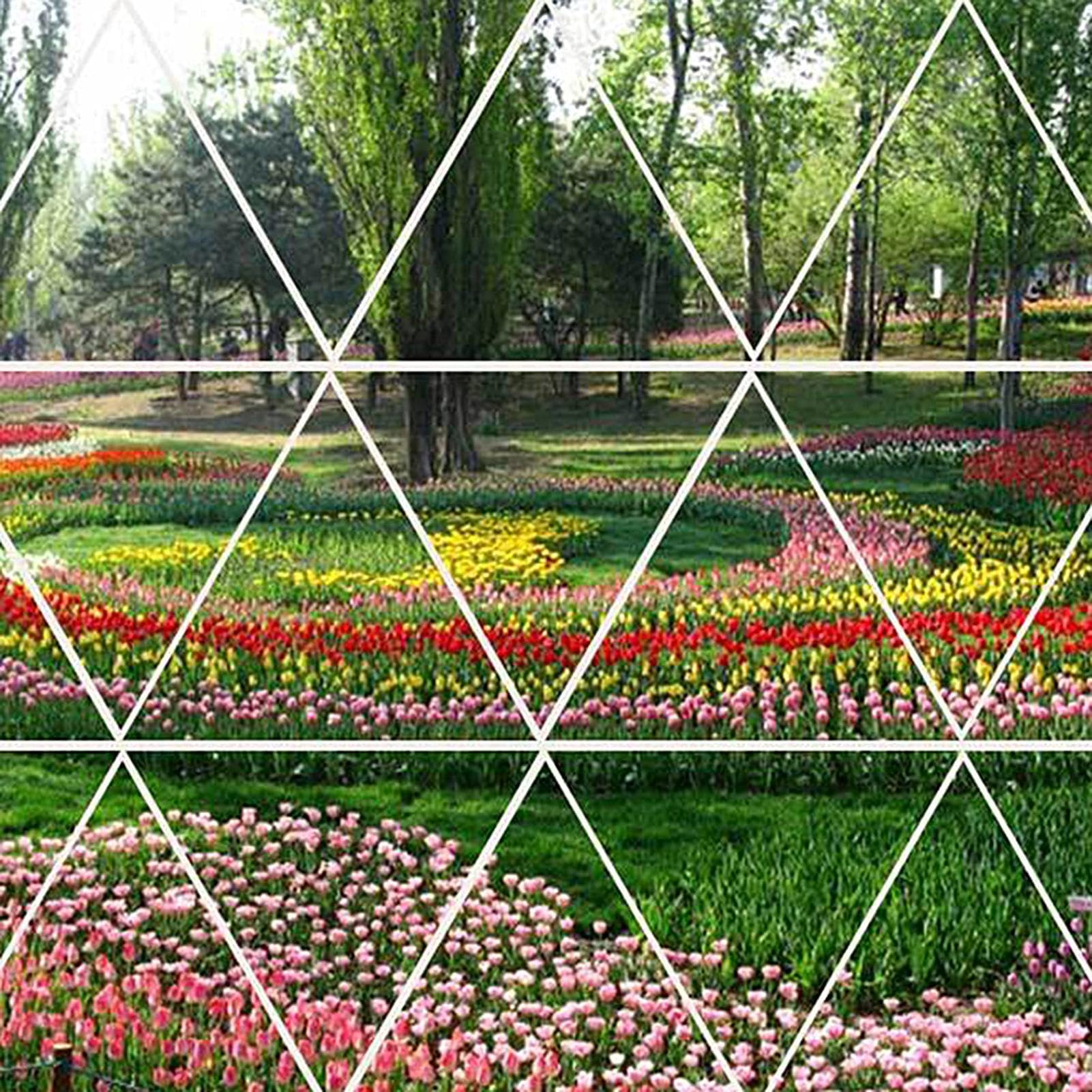 Suelo para plantas de estanque - Lodo de estanque de loto natural con nutrientes - Fertilizante para plantas, medios de cultivo para cultivo de semillas de plantas acuáticas