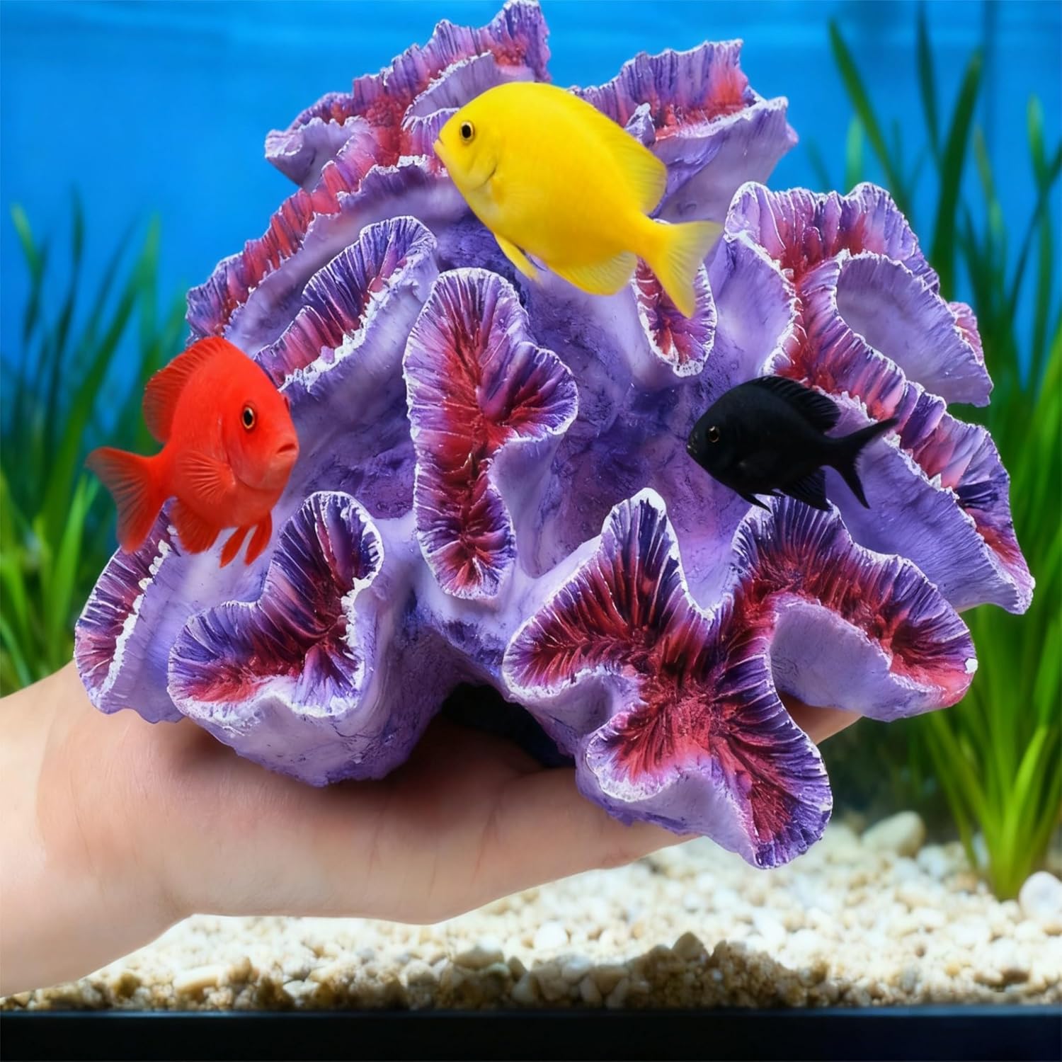 飾りサンゴとは｜種類とメリット、水質への影響、レイアウト例を解説