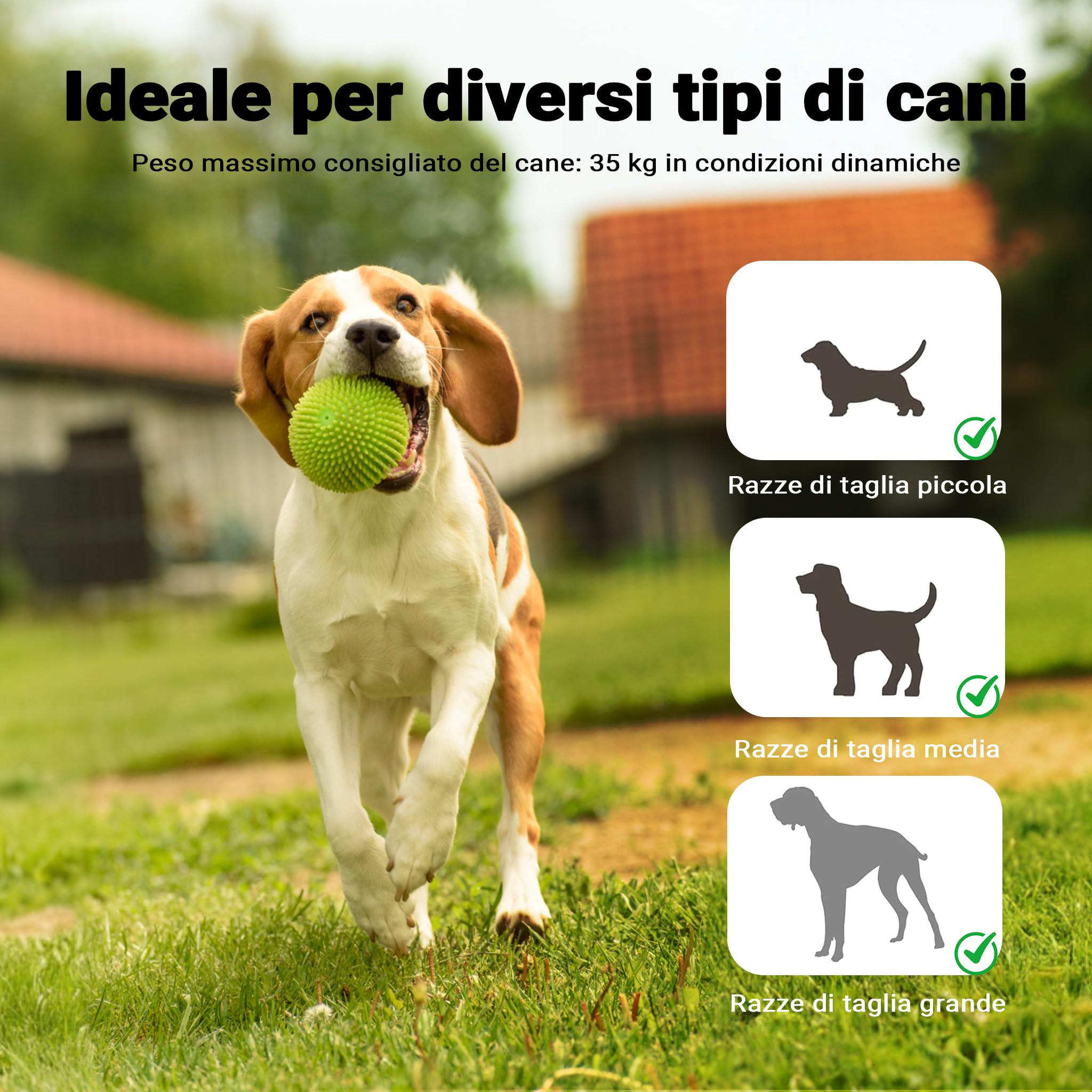 Bascula agility dog 180x30x30cm Altalena per cani di taglia grande e piccola Addestramento Ostacoli