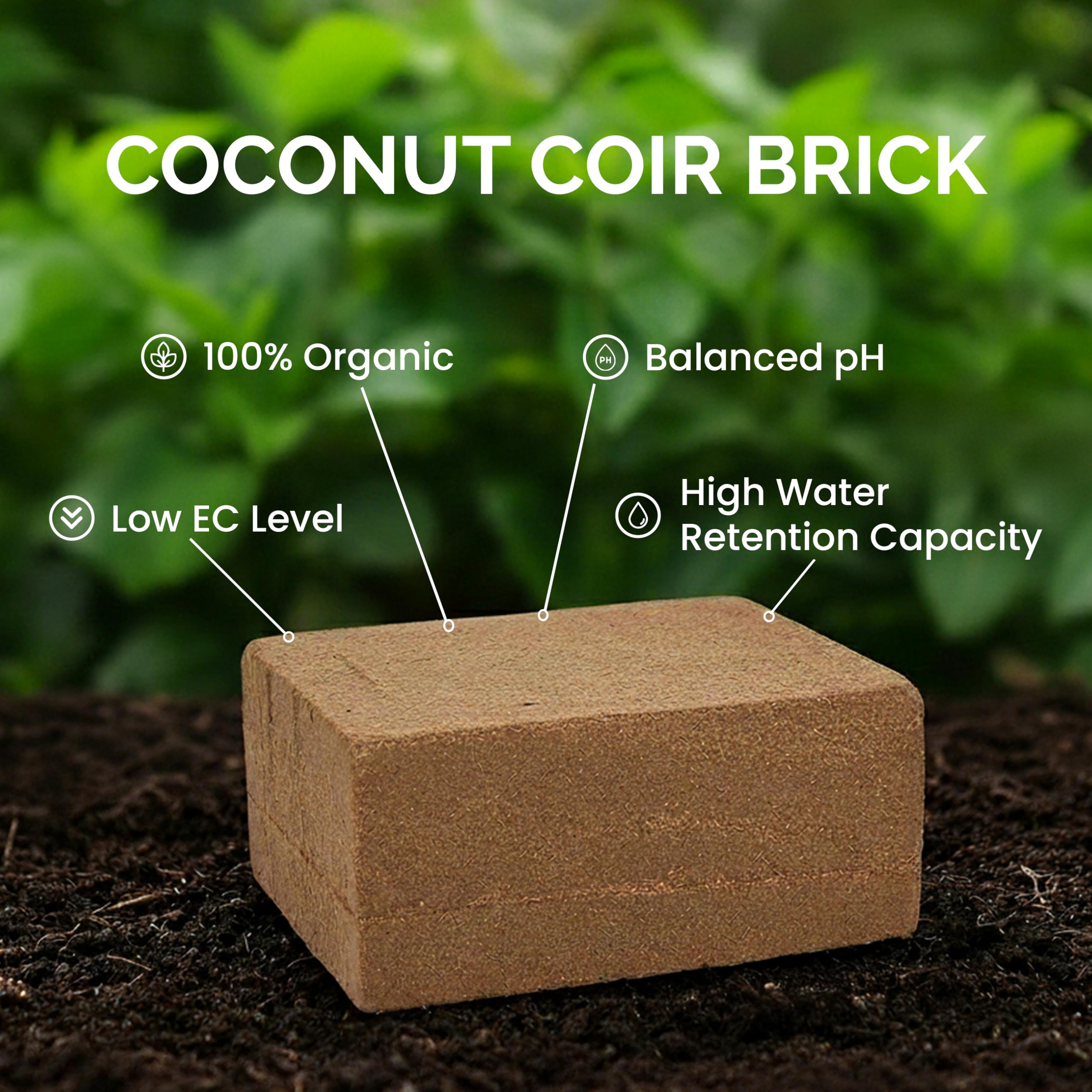 Amazon.com : Growbycoco Coco Coir Brick(11lbs) - Premium Organic