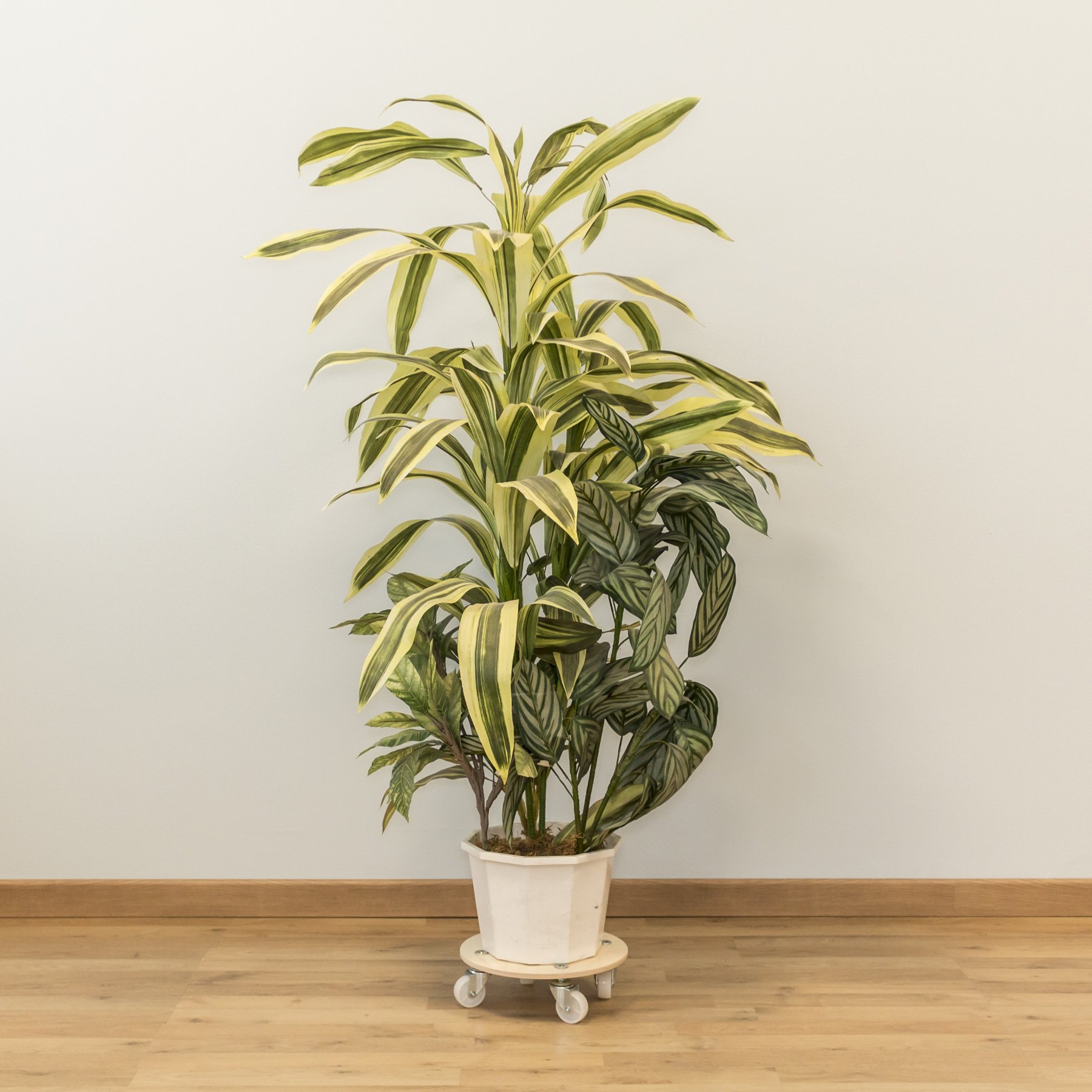 Cemab NEW (3 pezzi diametro 27cm) Carrello porta vaso ecologico, tondo in legno con 4 ruote- per piante e vasi - Portata fino a 140 kg.