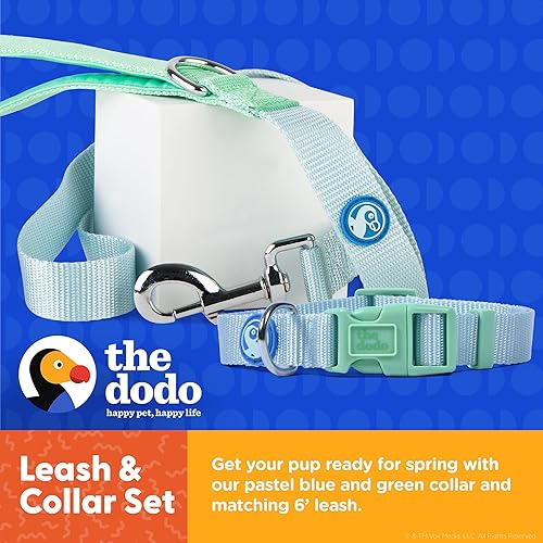 Miniatura 10 de The Dodo Juego de collar y correa amarillo de nailon, mediano bonito juego de correa y collar a juego juego de correa y collar impermeable para