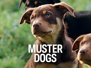 Muster Dogs