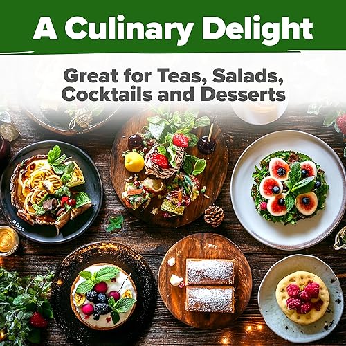 Miniatura 7 de HOME GROWN Semillas de menta sin OMG, paquete de 2,370 semillas de menta tradicionales para plantar. Cultiva plantas de menta en tu jardín de