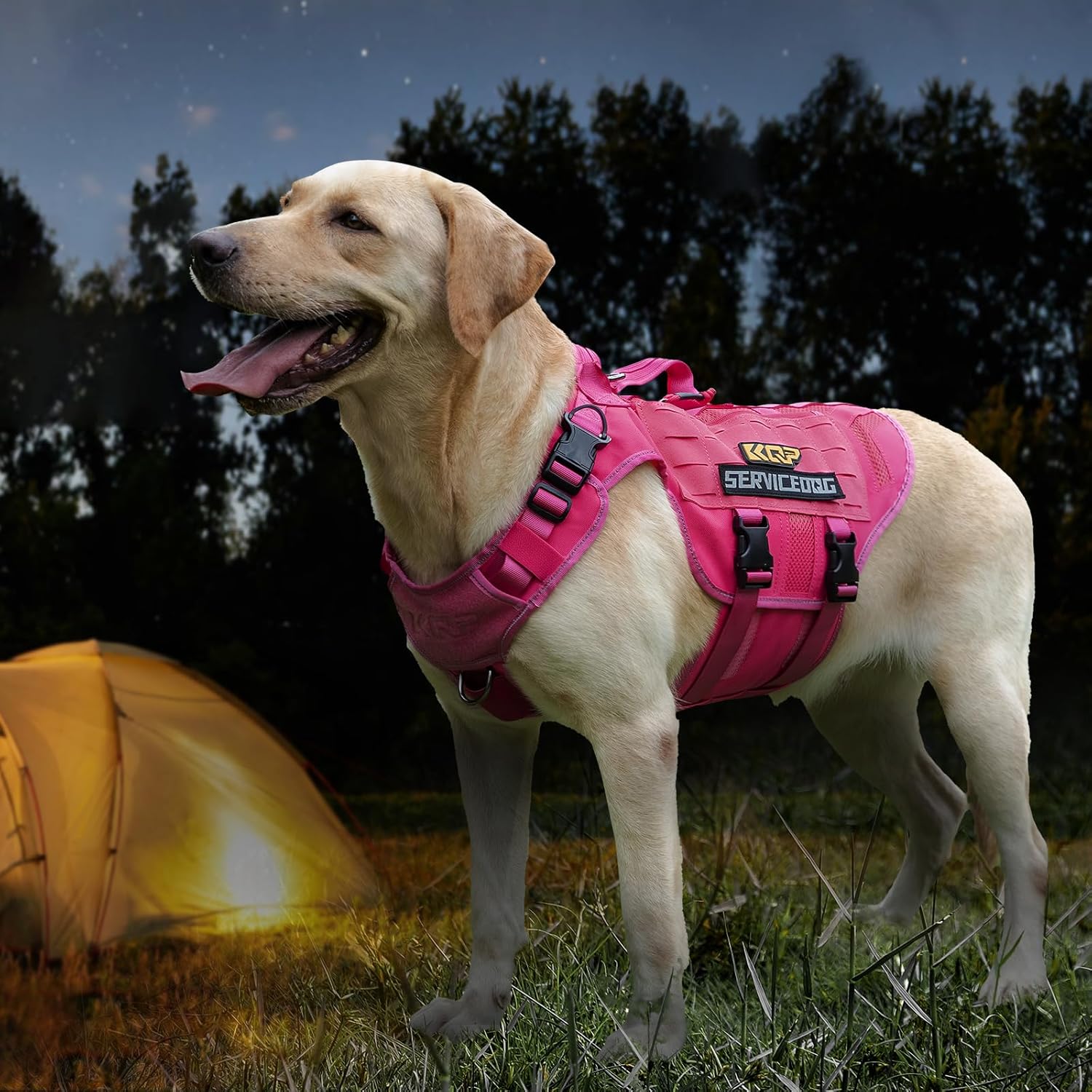 No Pull Dog Harness -Tactical Dog Harness - Breathable mesh, Pet Walking Hiking Training Vest- Dog Harness for Dogs, Service Dog, Large, Pink
