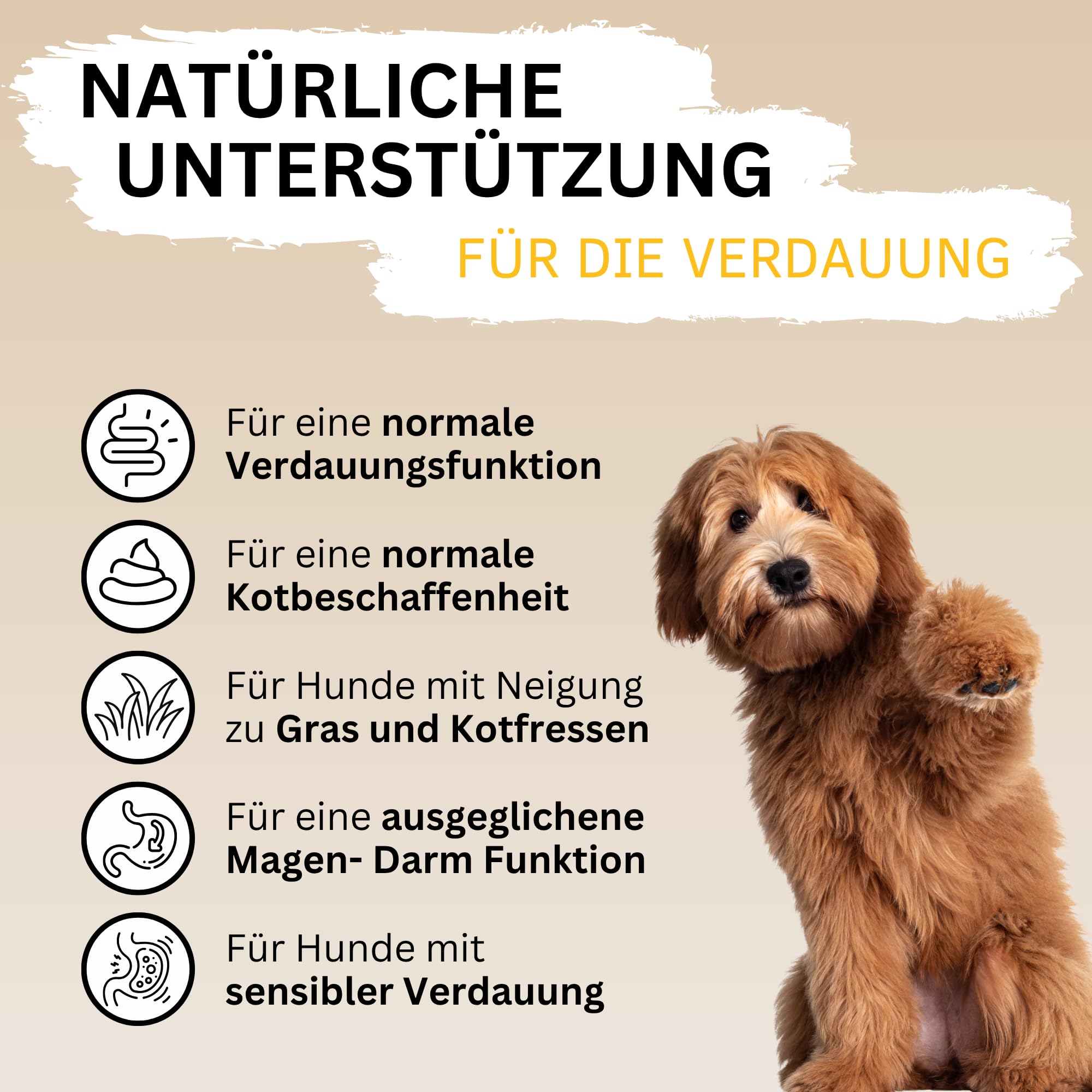 Verdauungs-Drops für Hunde mit Ulmenrinde I Für Normale Verdauung & Kotbeschaffenheit I Unterstützt Darmflora I I Mit Präbiotika & natürlich I ca. 120 STK.