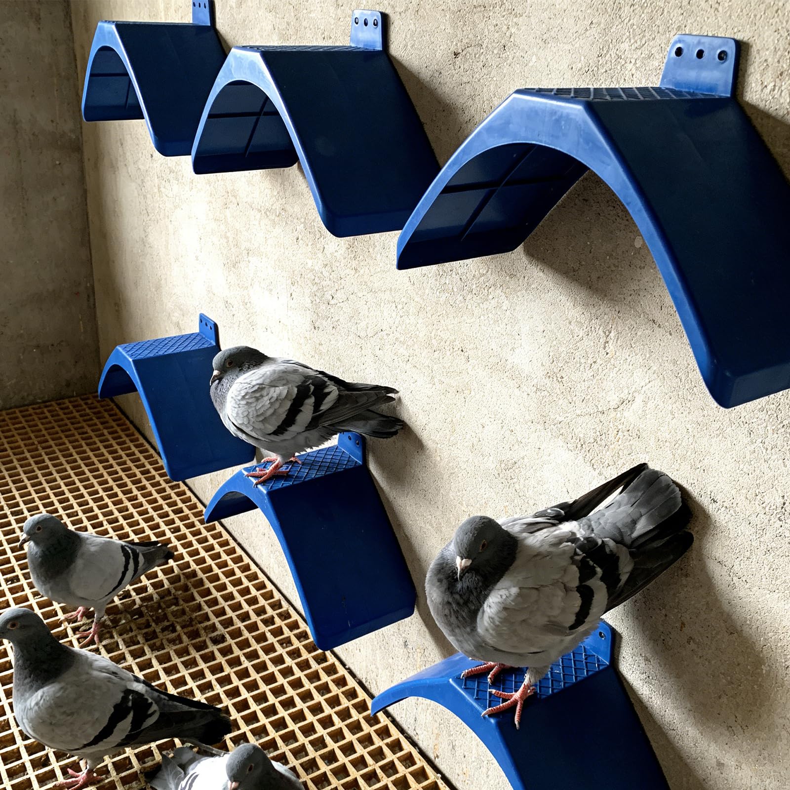 20 supporti in plastica leggera per colombe, posatoi per piccioni, gabbie per uccelli, struttura per abitazione per piccioni, pappagalli e altri uccelli