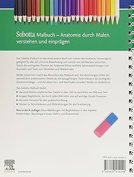 Sobotta Malbuch Anatomie : Kretz, Oliver: Amazon.de: Bücher
