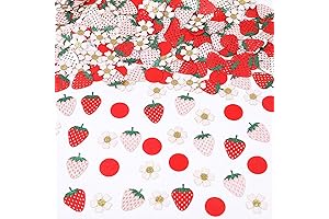 Enchanting Strawberry Daisy Party Decorations with Daisy Confetti