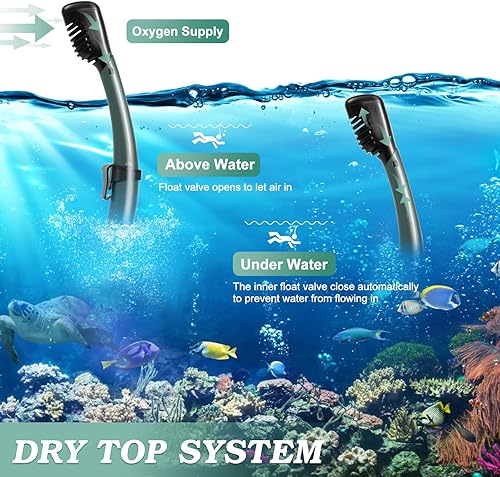 Miniatura 3 de Equipo de esnórquel para adultos, juego de máscara de esnórquel con parte superior seca, paquete de 2 máscaras de buceo, equipo de esnórquel