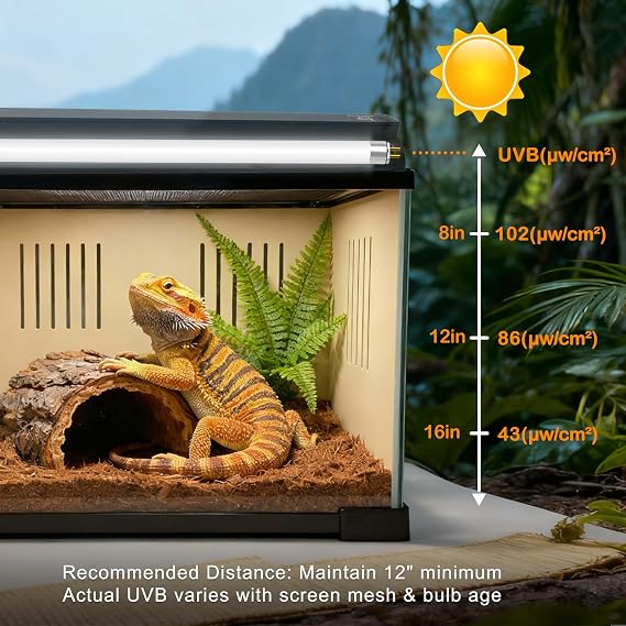T5 UVB Reptile Light 10.0 24W, HO UVA UVB Light Bulb for Reptiles, Reptile Fluorescent Lamp Tube for Bearded Dragon, 2 Pack 22 Inch