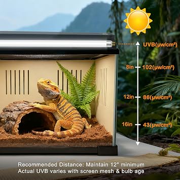 T5 UVB Reptile Light 10.0 24W, HO UVA UVB Light Bulb for Reptiles, Reptile Fluorescent Lamp Tube for Bearded Dragon, 2 Pack 22 Inch