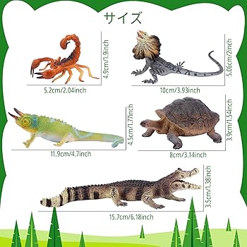 Amazon.co.jp: TOYMANY 12PCS動物フィギュア 野生動物フィギュア