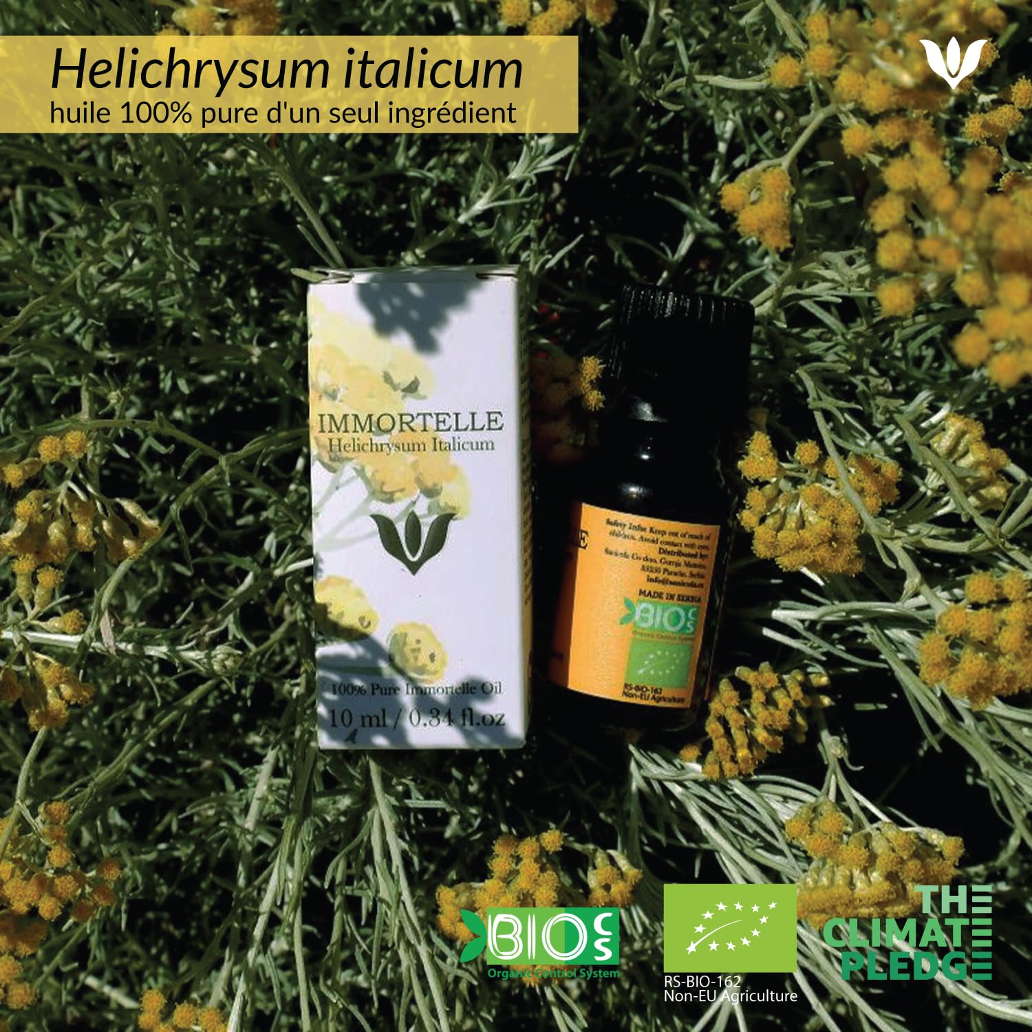 Huile Essentielle d’Hélichryse Italienne - 100% Pure et Bio | Distillée à la Vapeur | Huile Aromathérapie pour Diffuseur, Soin Naturel de la Peau et Bien-être - 10ml