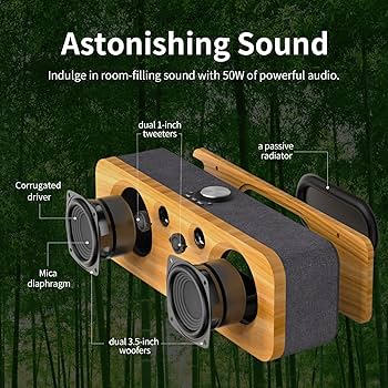 Amazon.com: DOSS SoundBox Pro Bundle SoundBox H200 : Electronics