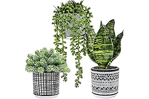 Winlyn Artificial Plants Indoor Small