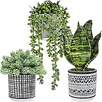 Winlyn 3pcs Artificial Succulents & Faux Snake Plant in Black Geometric Pots - Small Hanging Potted Greenery for Indoor Outdoor Home Decor
