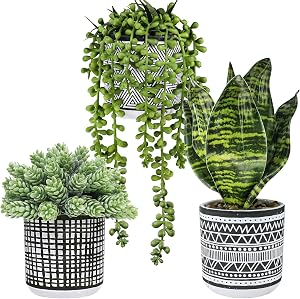 Winlyn 3 pièces de petites plantes en pot, succulentes artificielles suspendues et plante serpent tropicale factice dans des pots géométriques noirs pour la décoration moderne de la maison, de la cuisine, du rebord de fenêtre et de l'intérieur (3hduo)