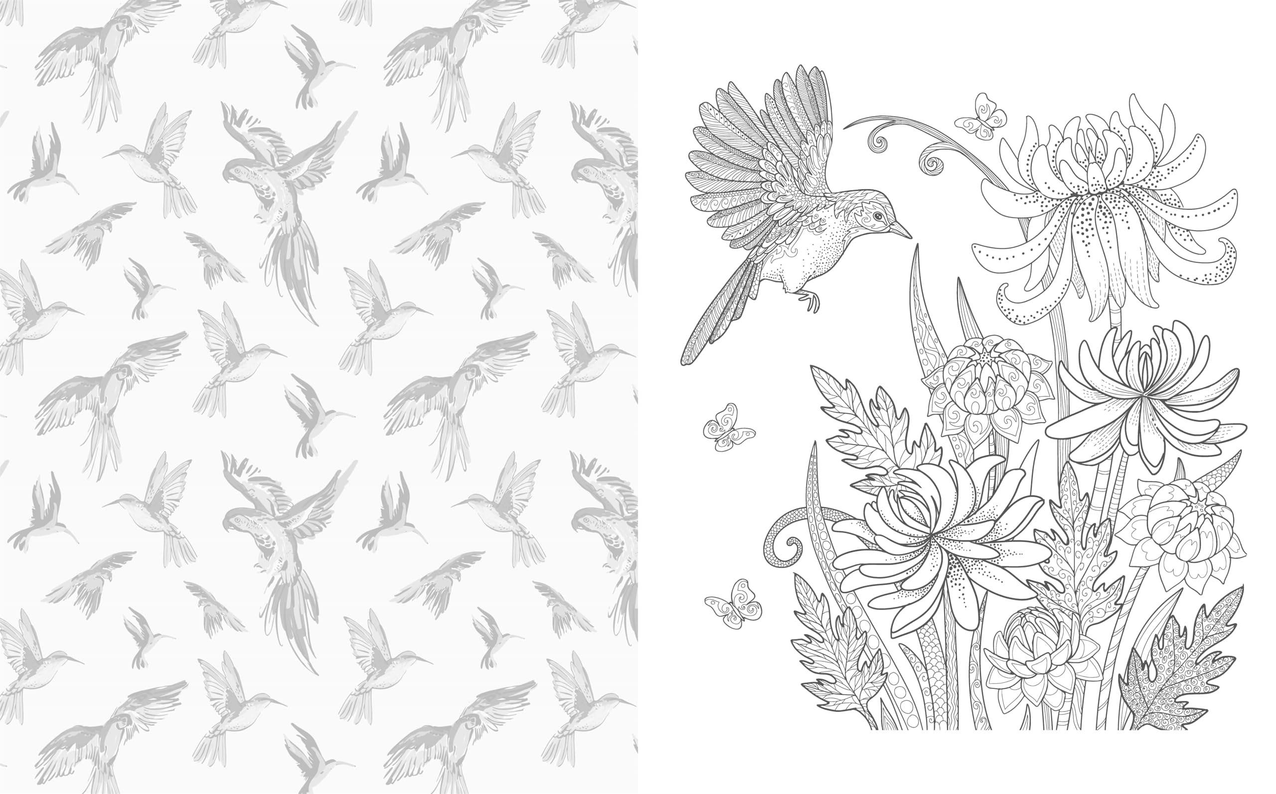 The Birds and Butterflies Colouring Book: Let your creativity take flight (Arcturus Creative Colouring)