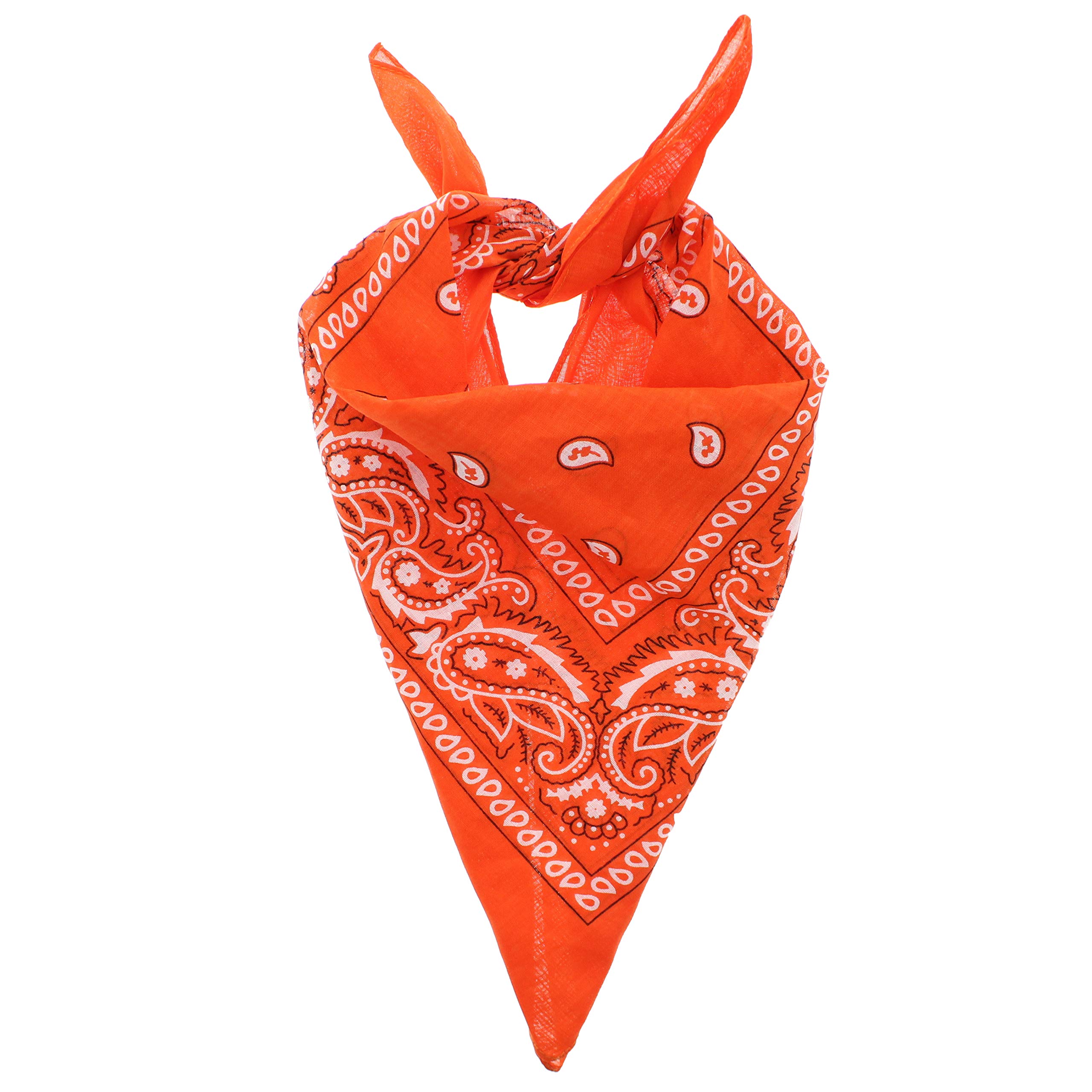Zac's Alter Ego Retro Vintage Style Cowboy Paisley Bandana/Neckerchief/Durag