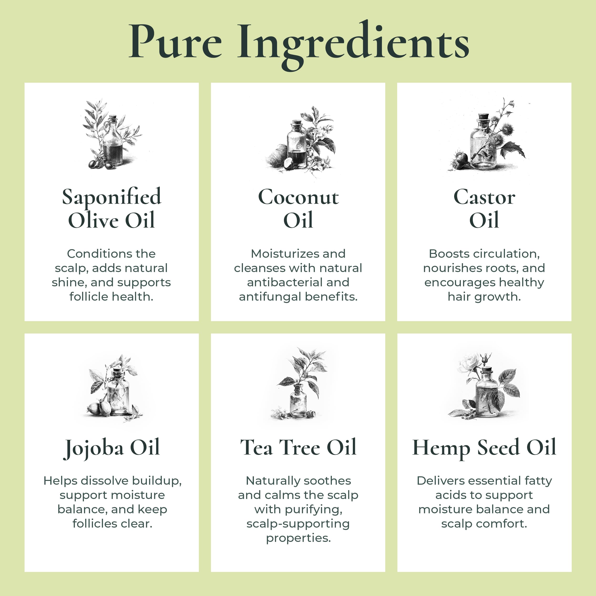 J.R.LIGGETT'S Shampoo Bar 3-Pack – Original, Tea Tree & Jojoba Peppermint