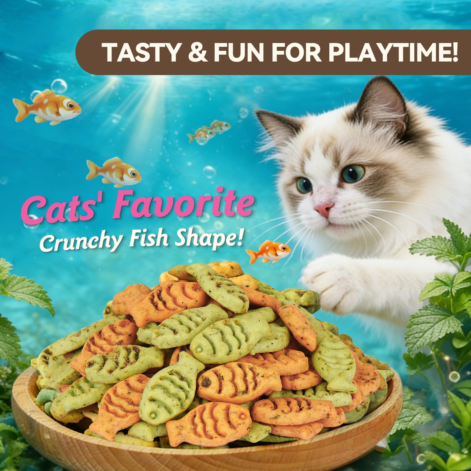 Golosinas para Gatos con Hierba gatera, bocadillos para Gatos con Sabor a Pollo y salmón, golosinas de Entrenamiento para Gatos, crujientes