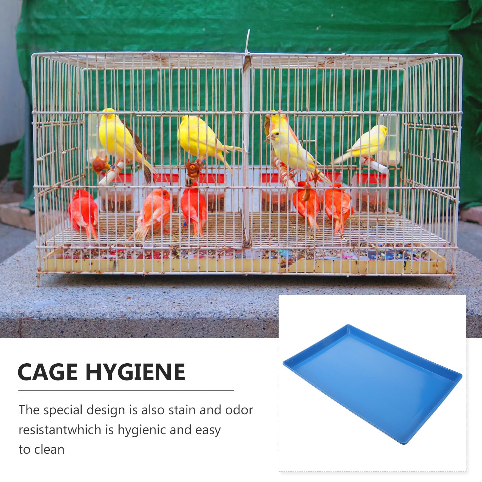 SHOWERORO Vassoio per Escrementi in Plastica Bordi Alti per Cani e Conigli, Vaschetta Inferiore per Gabbia Resistente a Perdite, per Lettiera Domestica 44X29X3 CM