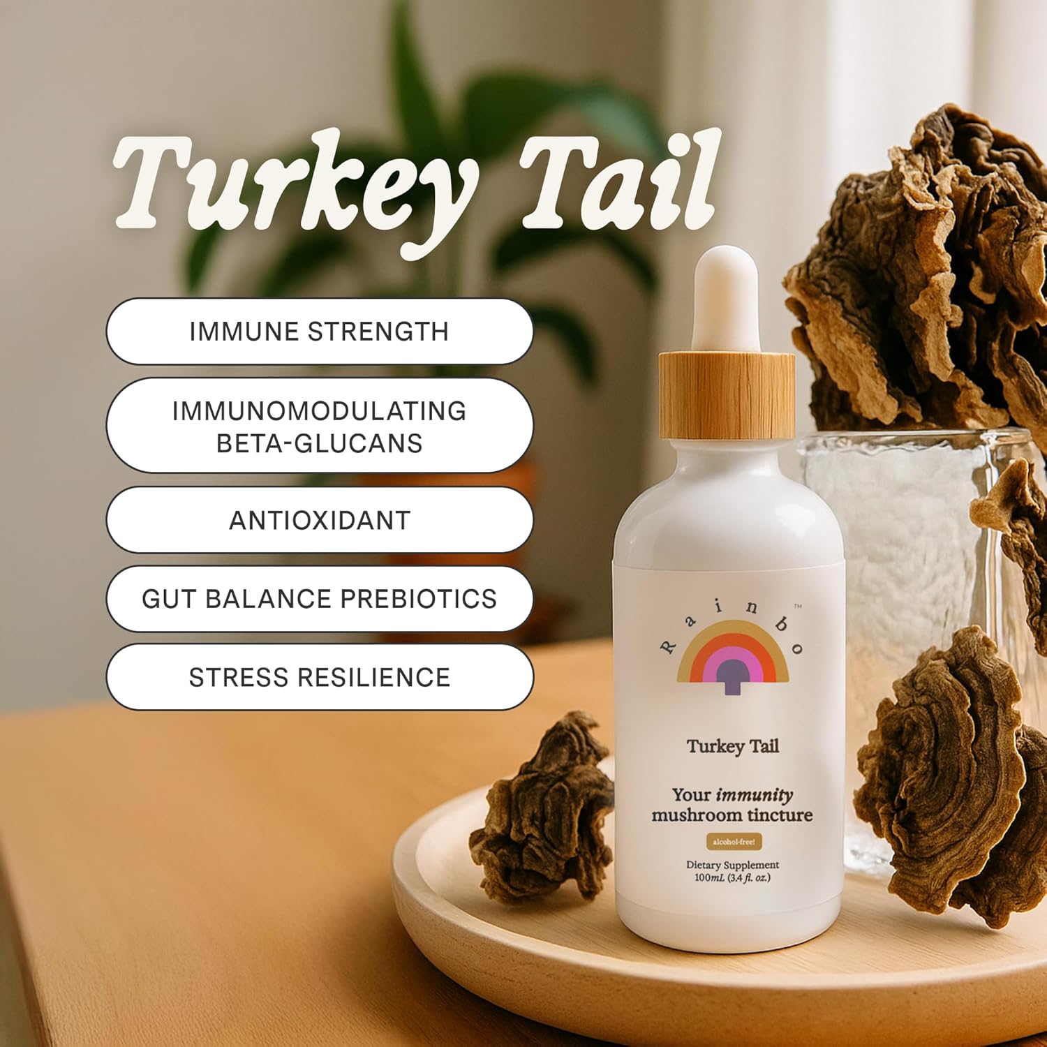 Rainbo - Turkey Tail Mushroom Tincture - Alcohol Free - Dual Extract Mushroom Supplement - Immune Support, Gut Health, Liquid Turkey Tail Supplement, Vegan, Non GMO, 3.4 fl oz