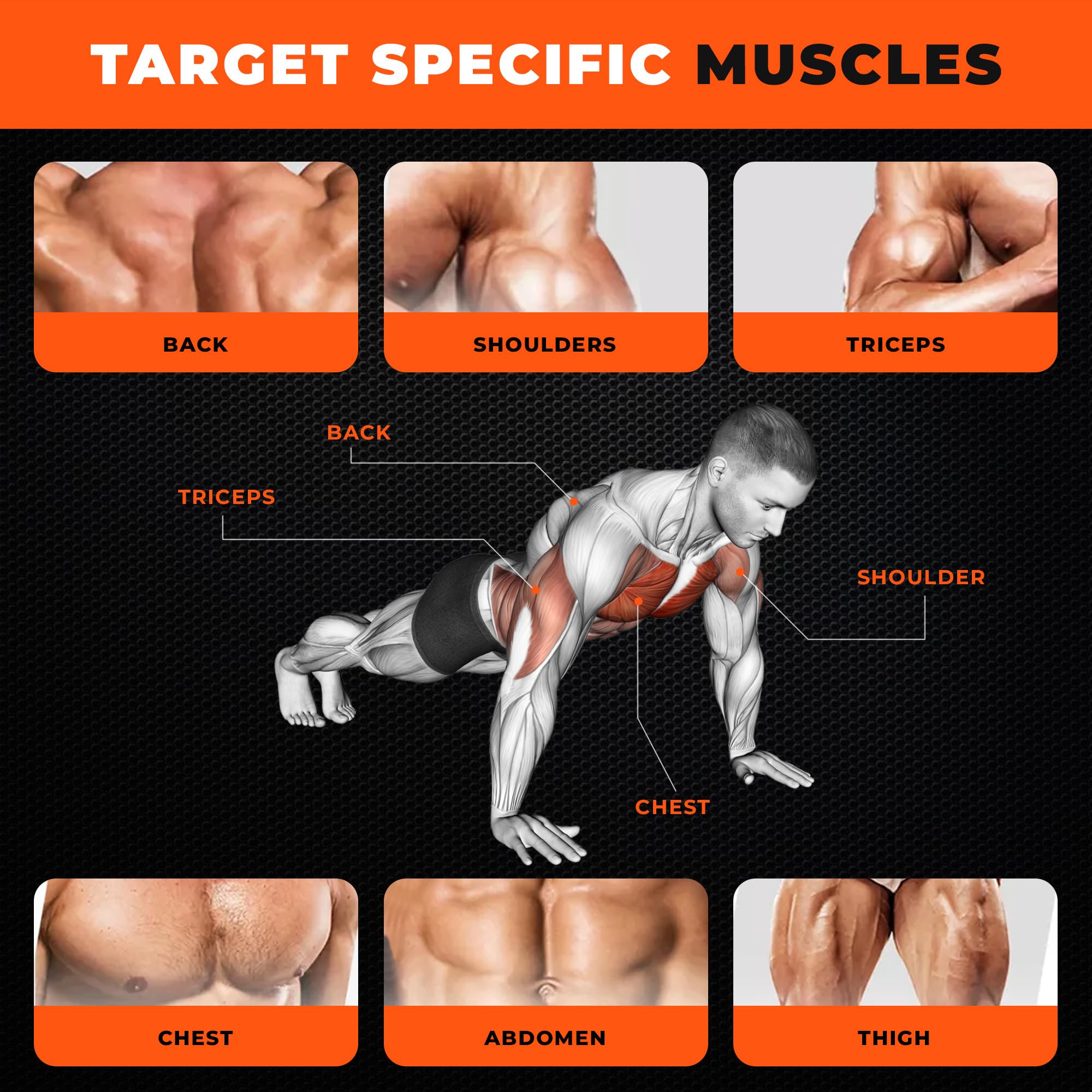 Tavola Multifunzione Per Flessioni 22 In 1 – Con Marcature Muscolari Codificate A Colori – Attrezzo Portatile Per Fitness E Palestra In Casa