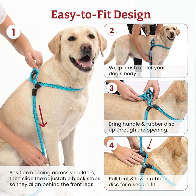 Foto 5 de 8 de Harness Arnés para Perro