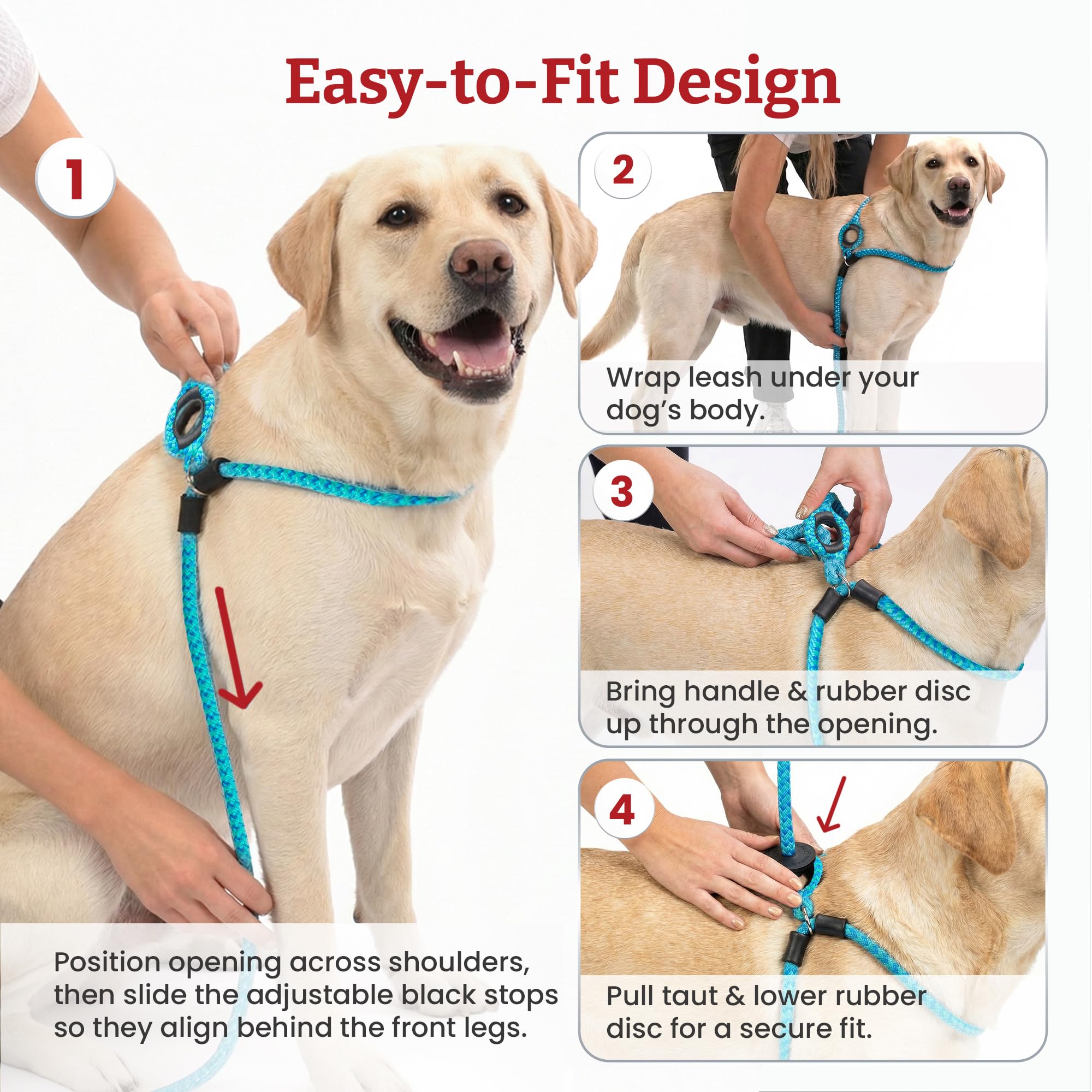 Amazon.com : Harness Lead No Pull Dog Harness and Leash Set, Anti Pull Dog  Harness for All Breeds and Sizes, One-Piece Cushioned Rope Design Safely  Prevents Escaping and Pulling (Medium/Large, Orange/Reflective) :