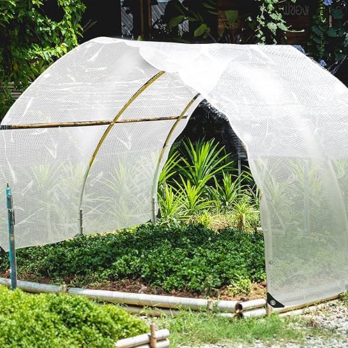 Miniatura 5 de Berlune Lona transparente impermeable para casas verdes, lona resistente a los rayos UV para cubierta de plástico de 14 mil con ojales para