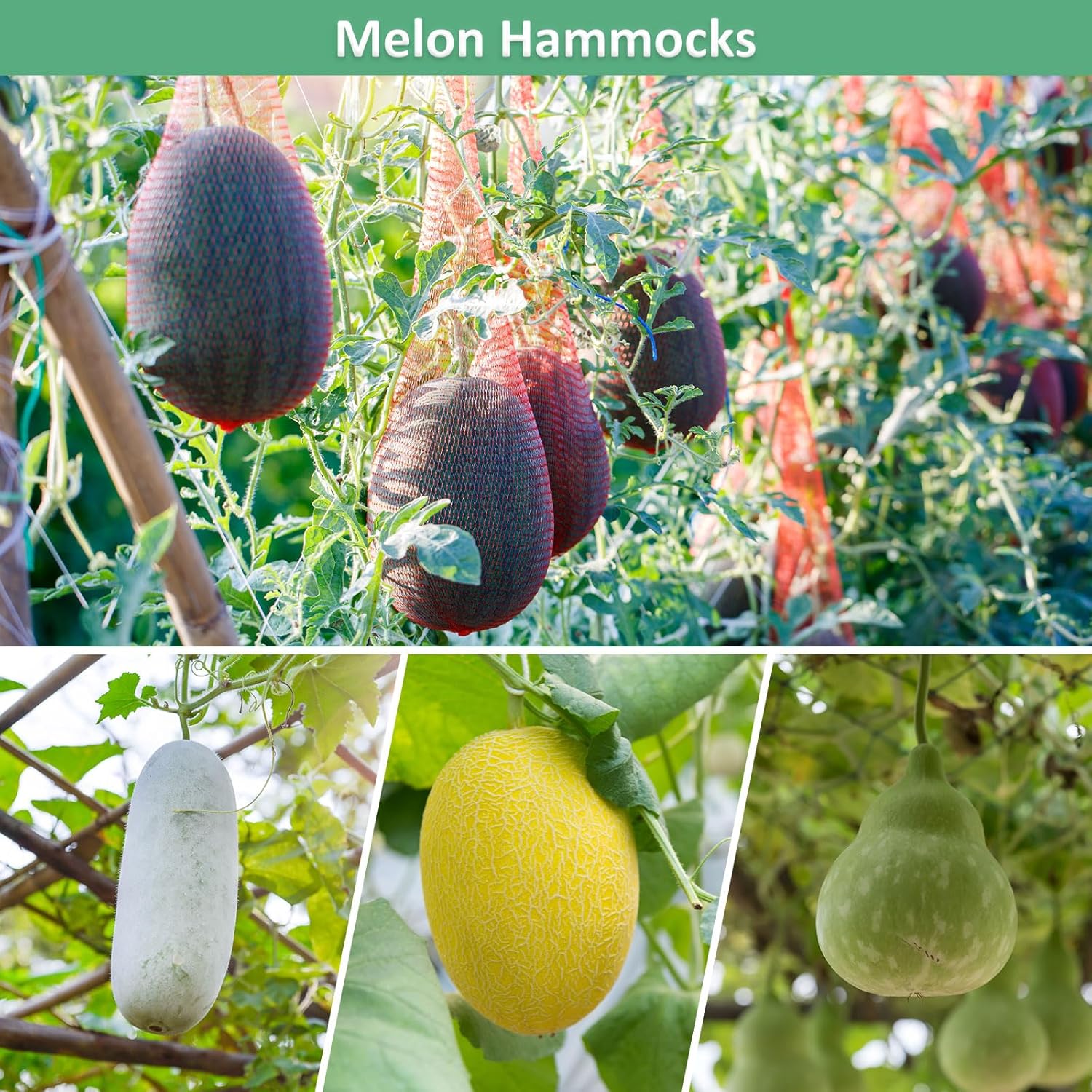 M METERXITY 100 Pcs Watermelon Nets - 50cm/20 Inches Melon Hammock Hanging Watermelon Support Nets Bags Reusable Melon Nets Melon Hammock for Trellis Apply to Garden(27lbs, Red)