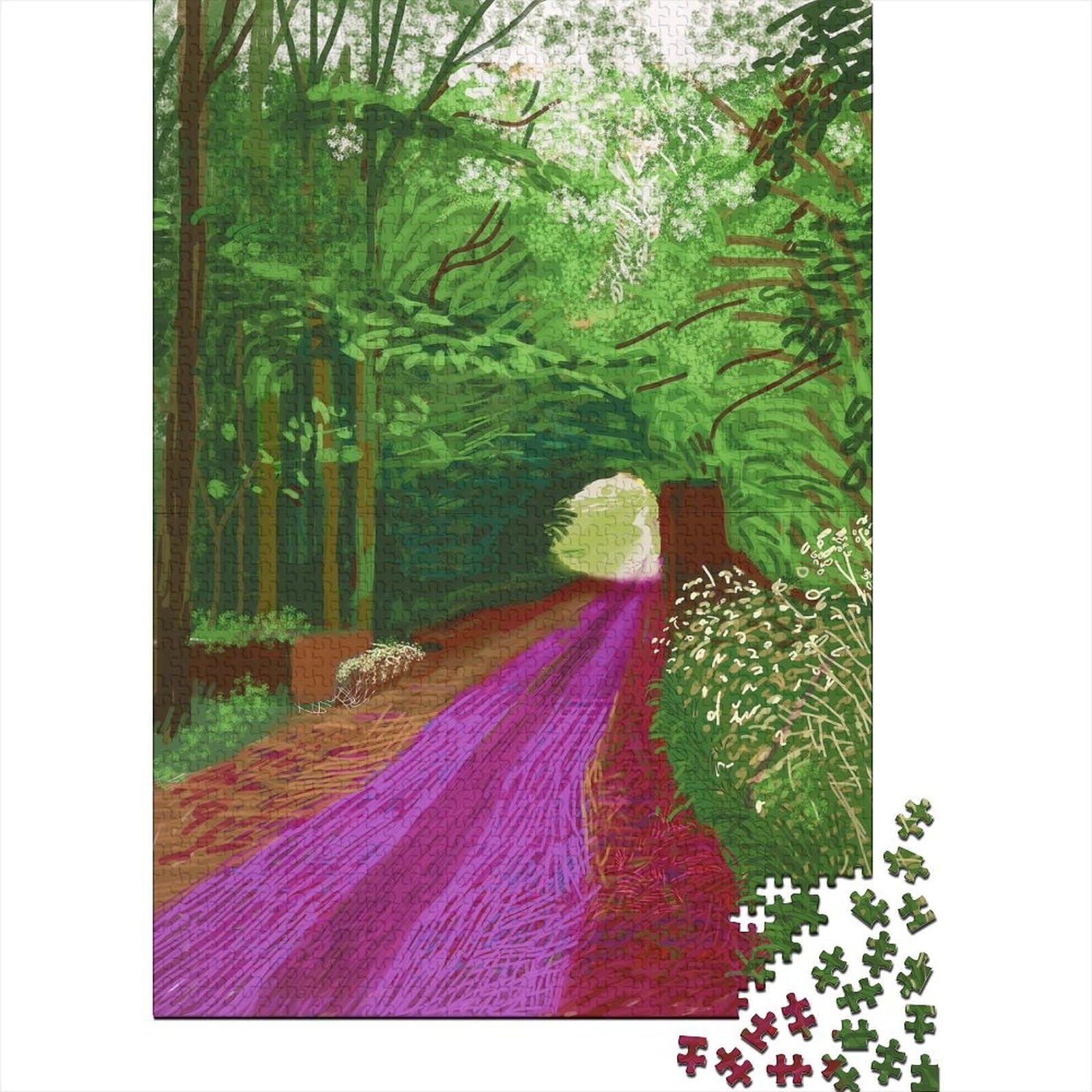 David Hockney Puzzles Wooden 1000 Pieces World Famous Paintings Jigsaws Impossible Oil Painting Jigsaws Museum Puzzles Challenge Toy Home Decoration
