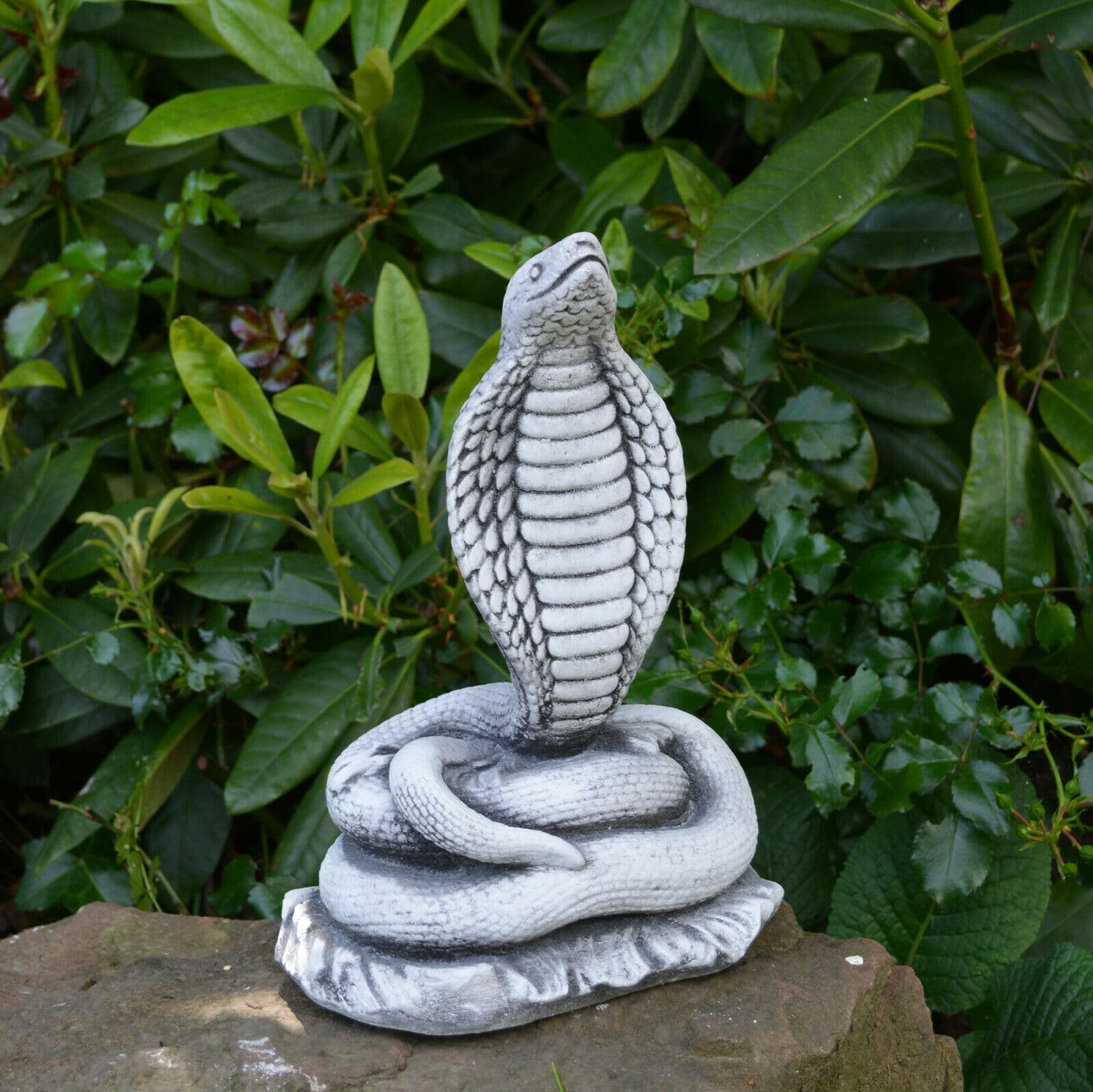 OLOMA King kobra figurine Stone garden snake statue Python ornament Cobra sculpture outdoor Concrete animal statue Garden decoration gift cobra Snake statue Froont door decoration Snake lover gift
