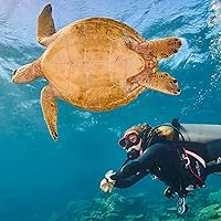 Vista 8 de TUSA Tina BCD con AWLS III