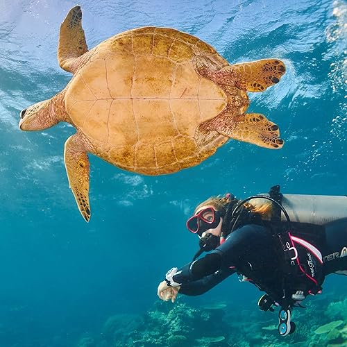 Miniatura 8 de TUSA Tina BCD con AWLS III