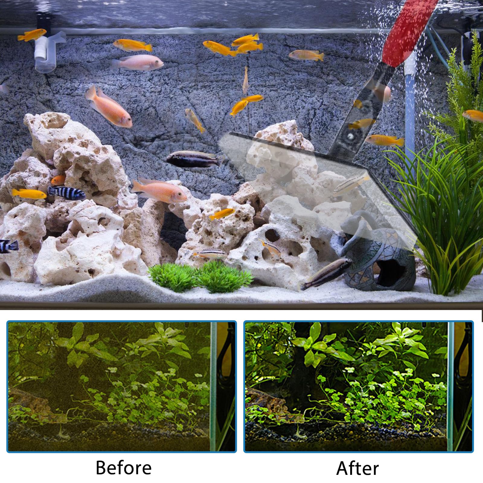 Set di attrezzi per la pulizia dell'acquario, 6 in 1, set di attrezzi per la pulizia dell'acquario, attrezzi per la pulizia dell'acquario, 6 in 1, raschietto per la cura dell'acquario