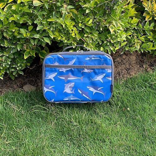 Miniatura 173 de FlowFly - FlowFly - Lonchera térmica para niños, minihielera suave para el regreso a clases, lonchera para niñas, niños, oso Oso,Negro -,negro con