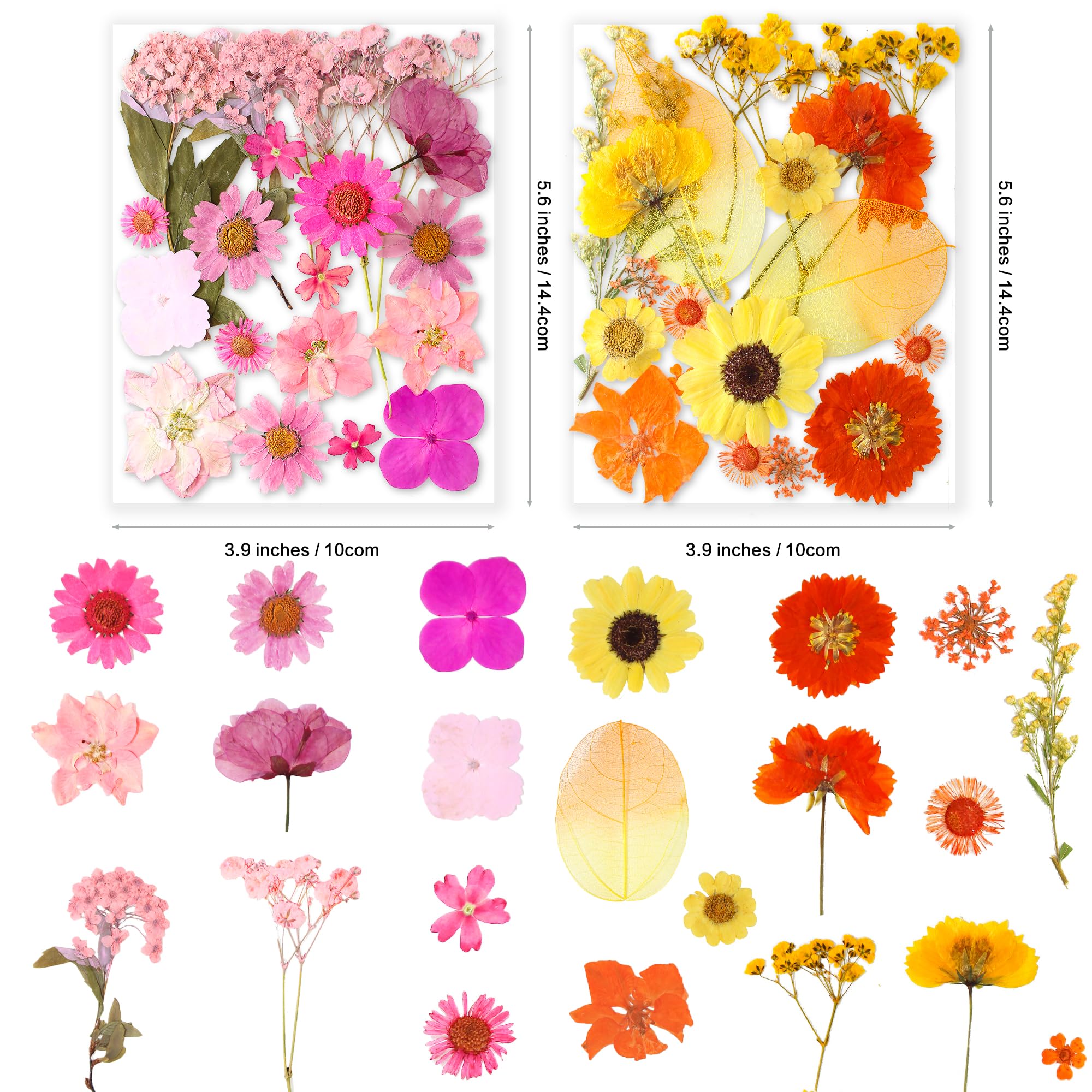 YoothBro 221PCS Real Nature Dried Pressed Flowers for Resin Mold Dry Pressing Floral with Butterfly Transparent Stickers Set for DIY Jewelry Making Nail Card Scrapbook Art Craft Eternity Summer - Image 4