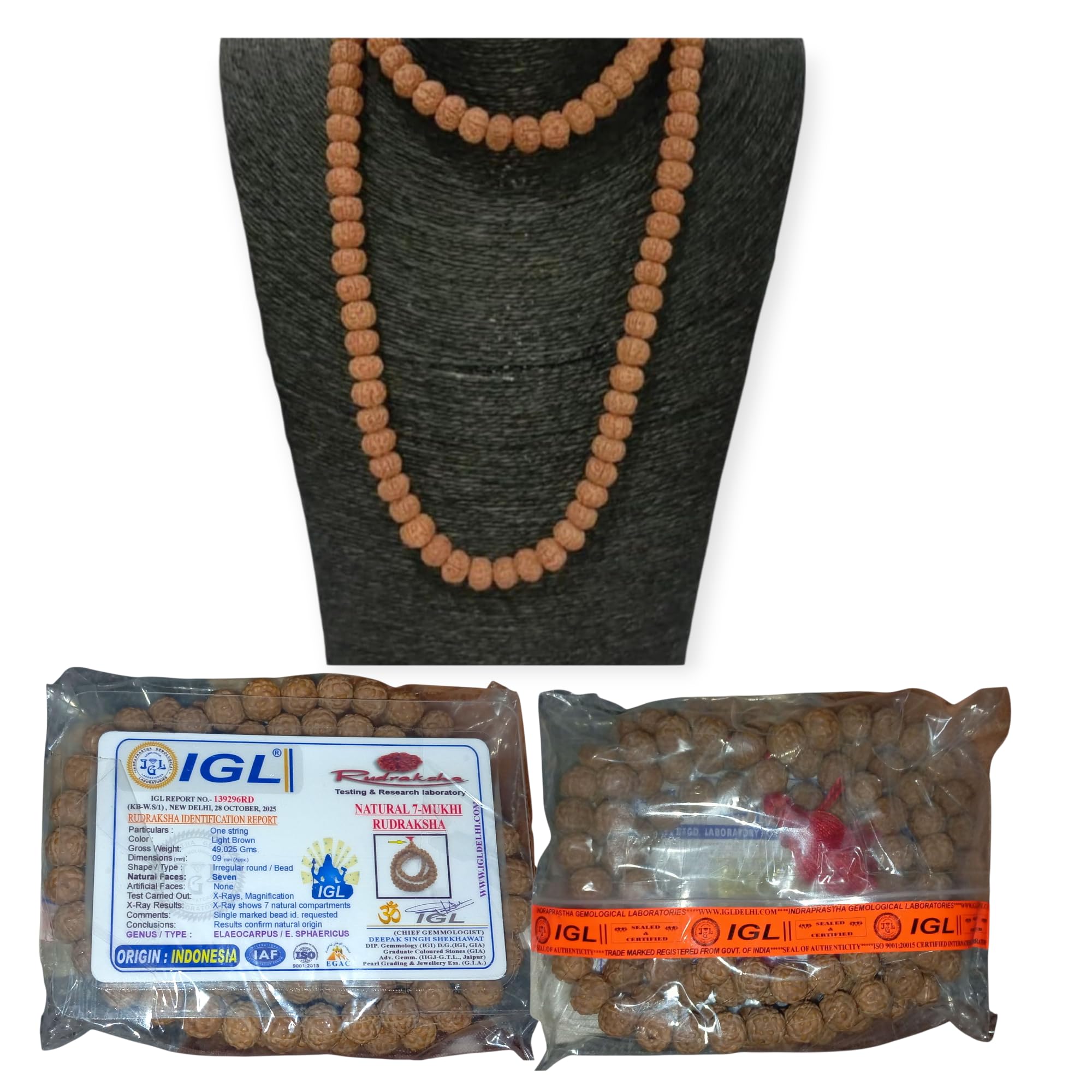 7 Mukhi Rudraksha Mala - Enhance Focus & Prosperity -1