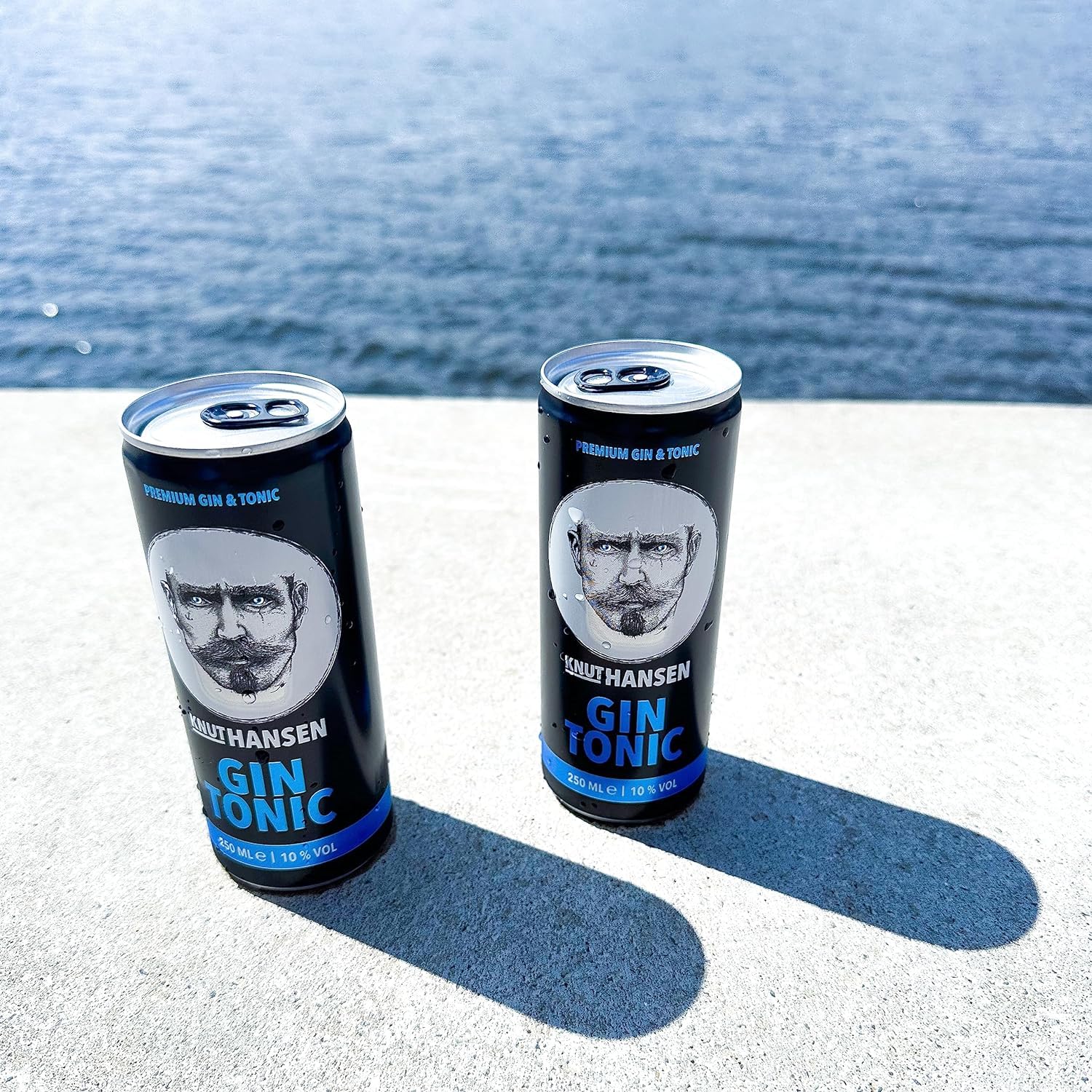KNUT HANSEN GIN TONIC 10% vol. 12 x 250ml Dose Erfrischend trinkfertig