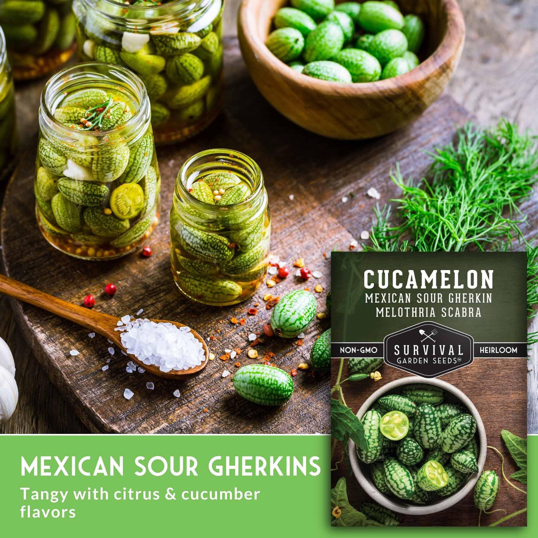 Amazon.com : Cucamelon Seeds for Planting – Mexican Sour Gherkin