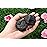 QINJIEJIE 2PCS Black Tourmaline 1.8-2.2\'\' Raw Crystals Healing Stones Bulk Natural Large Crystal Rocks Stones for Tumbling Cabbing Fountain Rocks DIY Decoration Polishing Handmade Gifts