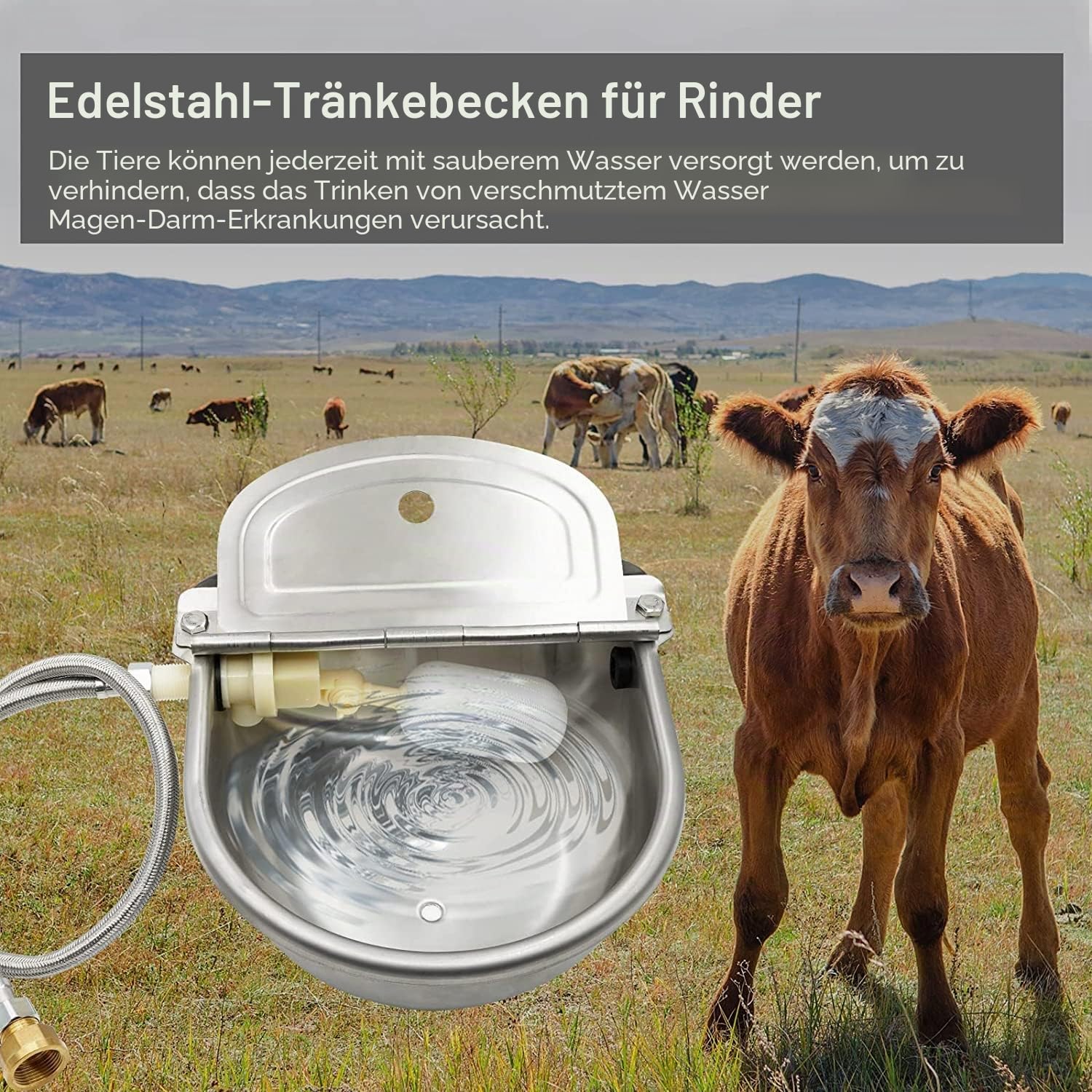 Edelstahl Rinder Viehtränke Tränkebecken mit Schwimmer Ventil 4L für Pferde Rinder Schafe
