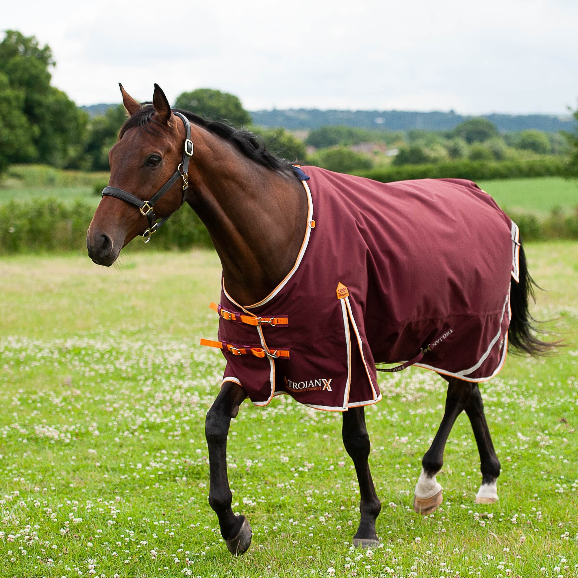 Gallop Trojan 100g Xtra Outdoor Horse Turnout Rug 1200 Denier Lightweight (6'3", Burgundy/Orange)