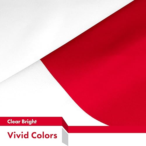 Vista 91 de G128 LiteWeave Pro Series - Bandera de Israel 3 x 5 pies LiteWeave Pro Series impreso poliéster 150D Bandera de país, interior y exterior