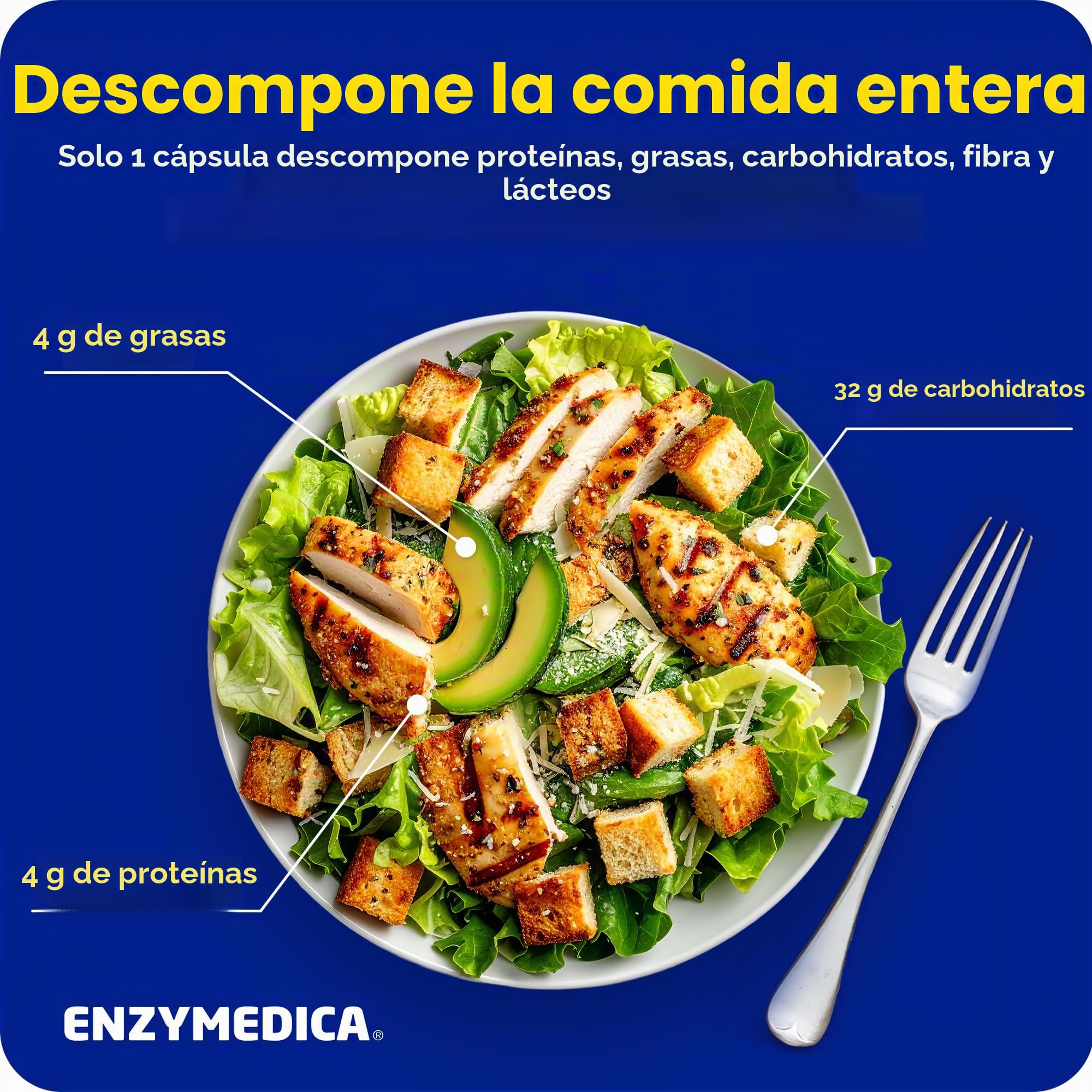 Enzymedica, Digest Basic, Fórmula Enzimática, Reduce los Gases, Mejora la Absorción de Nutrientes, con ATP y Magnesio, Sin Gluten, Sin lácteos, 90 Cápsulas