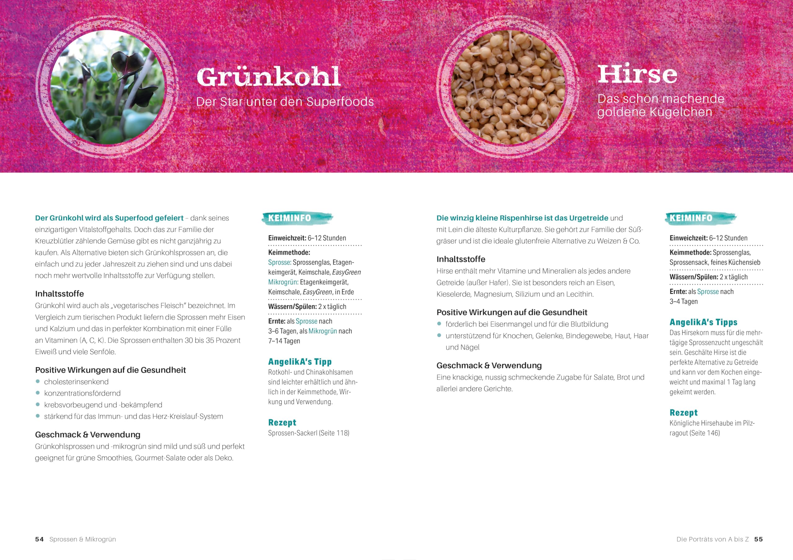 Sprossen & Mikrogrün: Die ultimativen Superfoods aus dem eigenen Küchengarten | Mit 40 kreativen Rezepten für Vitalität und Wohlbefinden | Sprossen ... 40 Pflanzen-Porträts - 40 kreative Rezepte"
